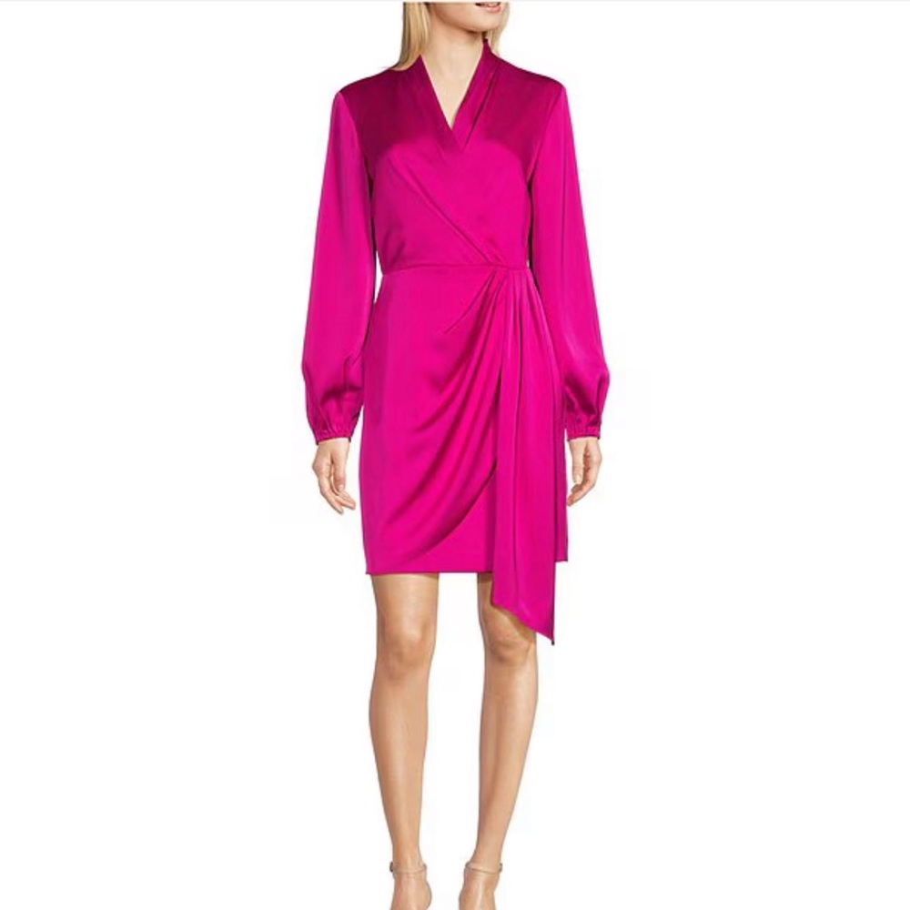 Alex Marie Iris V-Neck Satin Crepe Long Sleeve A-Line Dress